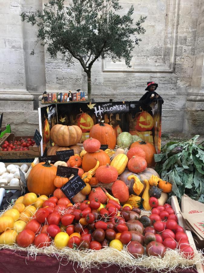 Un Coin De Luberon Leilighet LʼIsle-sur-la-Sorgue Eksteriør bilde