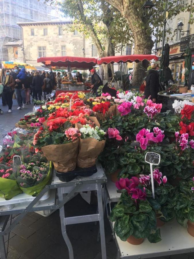 Un Coin De Luberon Leilighet LʼIsle-sur-la-Sorgue Eksteriør bilde